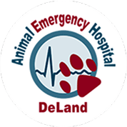DeLand Logo
