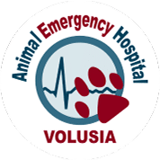 Volusia Logo
