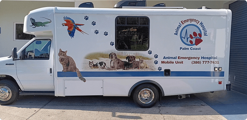 Your Pet’s Emergency, Our Immediate Priority