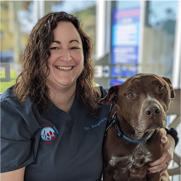 Alexis Bogosian, DVM